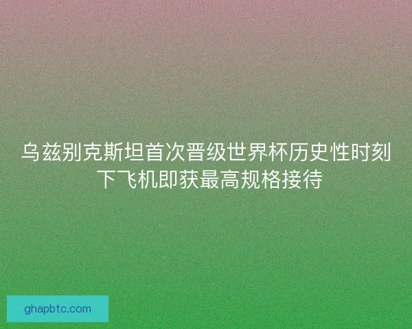 乌兹别克斯坦首次晋级世界杯历史性时刻 下飞机即获最高规格接待